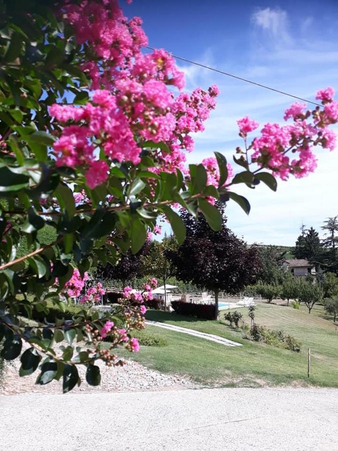 Ca Du Ruja Guest House Strevi Luaran gambar