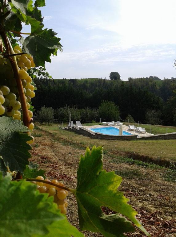 Ca Du Ruja Guest House Strevi Luaran gambar